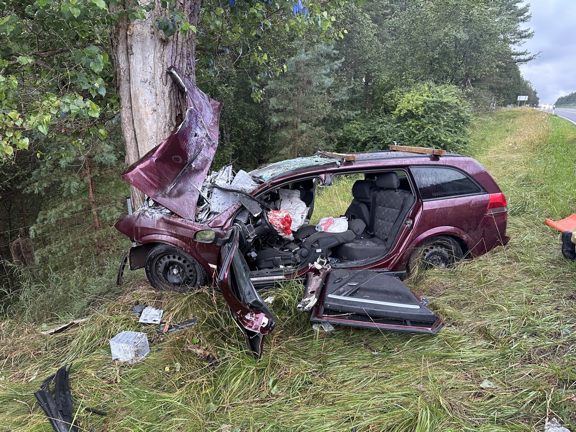 Opel Crashes Into Tree on Highway Near Vievio; Driver Rescued by Firefighters