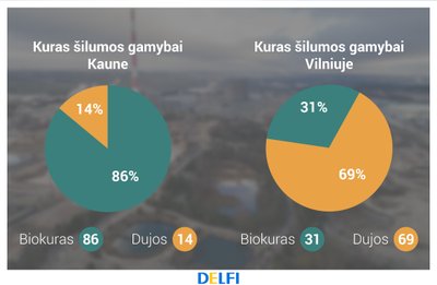 Kuro rūšys šilumos gamybai, LNŠG asociacijos duomenys