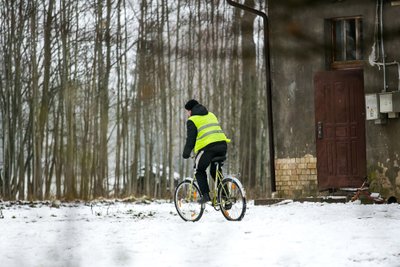 Tauragės rajone gyvenanti 17 vaikų šeima