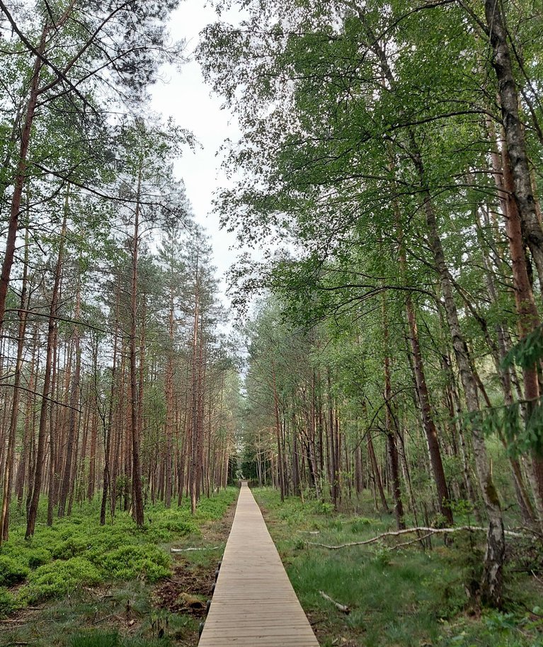 Varnikų pažintinis takas