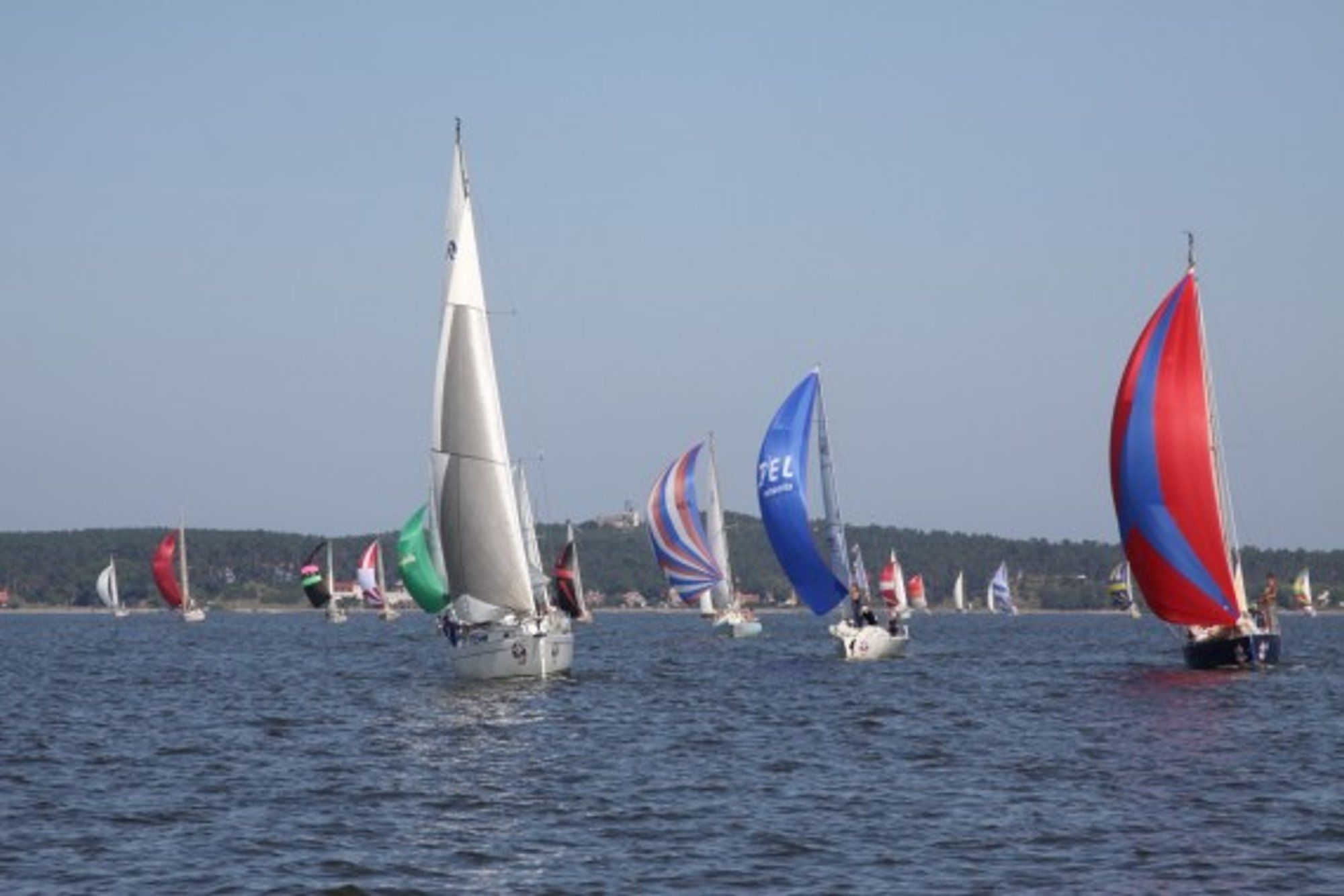 Kuršių marių regata