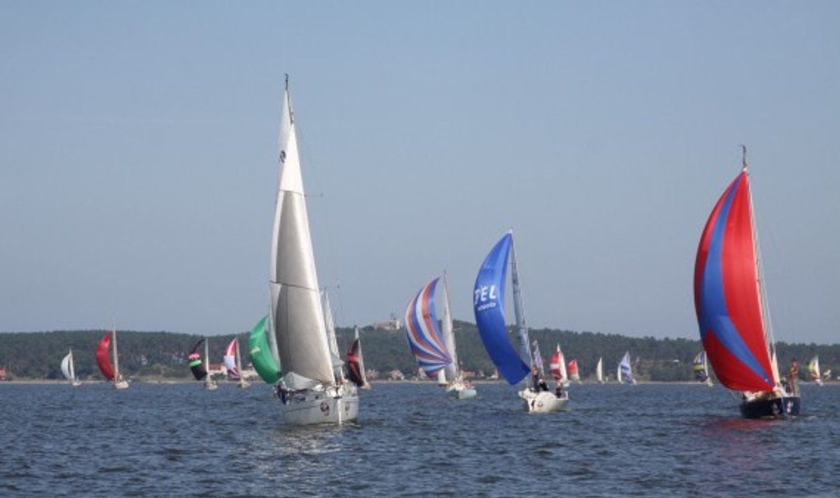 Kuršių marių regata