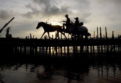 Kambodžos ūkininkas rieda bambukiniu tiltu