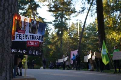 Protestas prieš fejerverkus