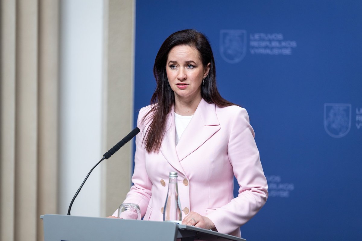 Henrika Rugine Ruginienė: Registrų centro vadovas turi pasitraukti iš pareigų - Delfi ...