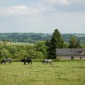 Vyriausybė nutarė pakeisti kompensacijos už pasinaudojimą žeme tvarką