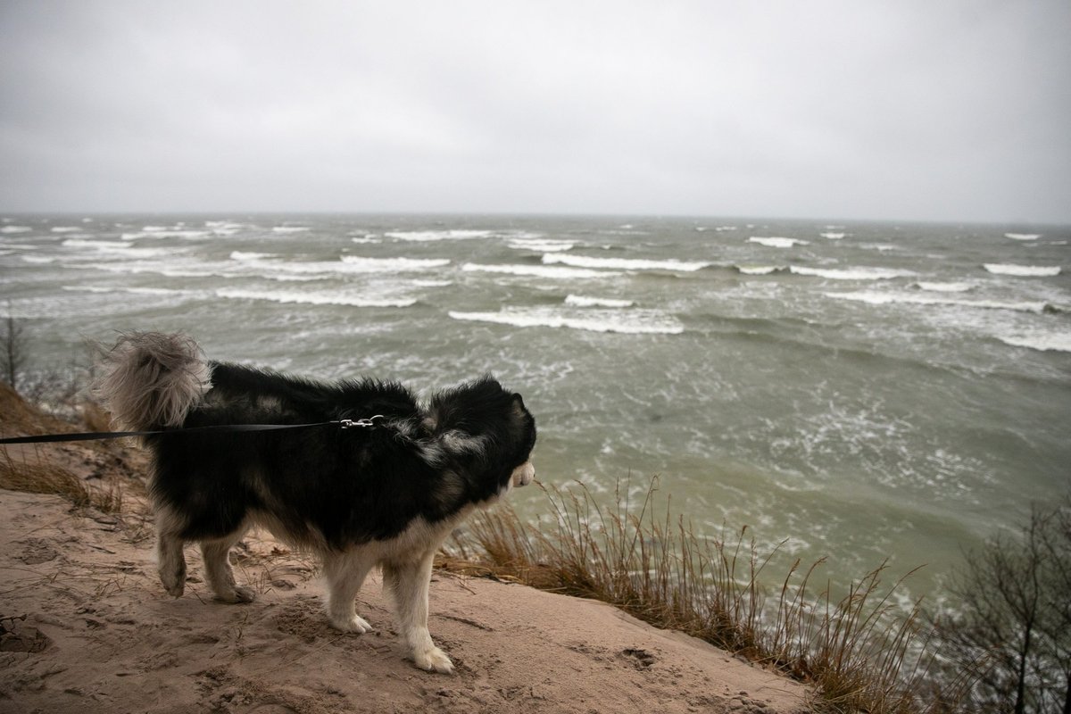 Severe Weather Alert: Cyclones and Storms Forecast for Lithuania