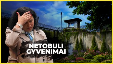 Netobuli gyvenimai. Interviu, kurį bandė uždrausti, nufilmuotas miške: Jūratė išgelbėjo daugybę gyvybių