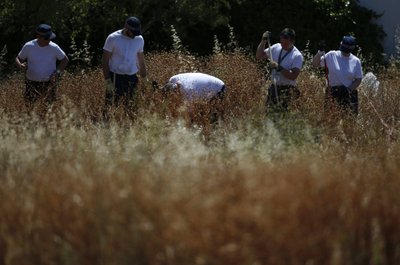 Madeleine McCann paieška Praia da Luz miestelyje