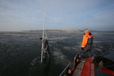 Kuršių marių ledo tyrimai