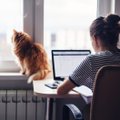 9 iš 10 lietuvių pritaria nuotolinėms gydytojų konsultacijoms: kaip jos turėtų atrodyti?