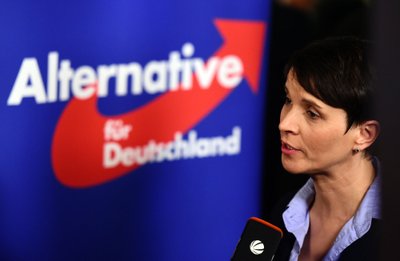 AfD Frauke Petry 