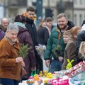 Aplink Vilniaus Katedrą – žalia žalia: minimas Verbų sekmadienis