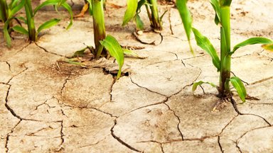 The youth have evaluated Lithuania’s combat with climate change: we will not change our habits until a huge tragedy happens