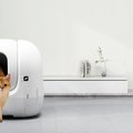 Šeimininkų džiaugsmas: išmanios technologijos, kurios rūpinasi augintiniais