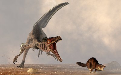 Velociraptors 