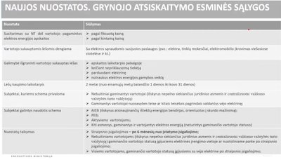 Siūlomos grynojo atsiskaitymo esminės sąlygos