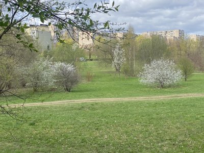 Lužių parkas