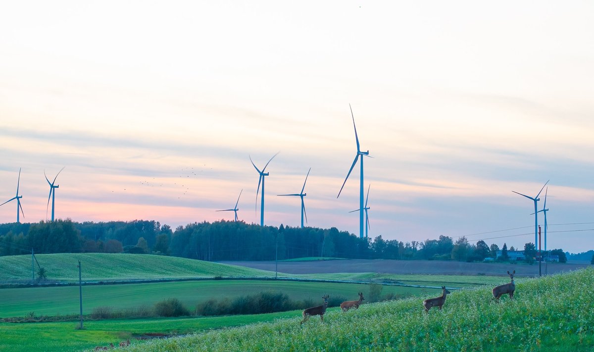 „Ignitis renewables“ sveikina Lietuvos vėjo energetiką