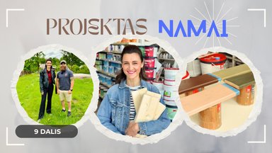 Projektas: namai. Netradicinė namelio spalva ir auksiniai Kiemo mago patarimai