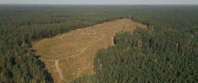 Dzūkijoje atvertos žemyninės kopos Stop kadras 