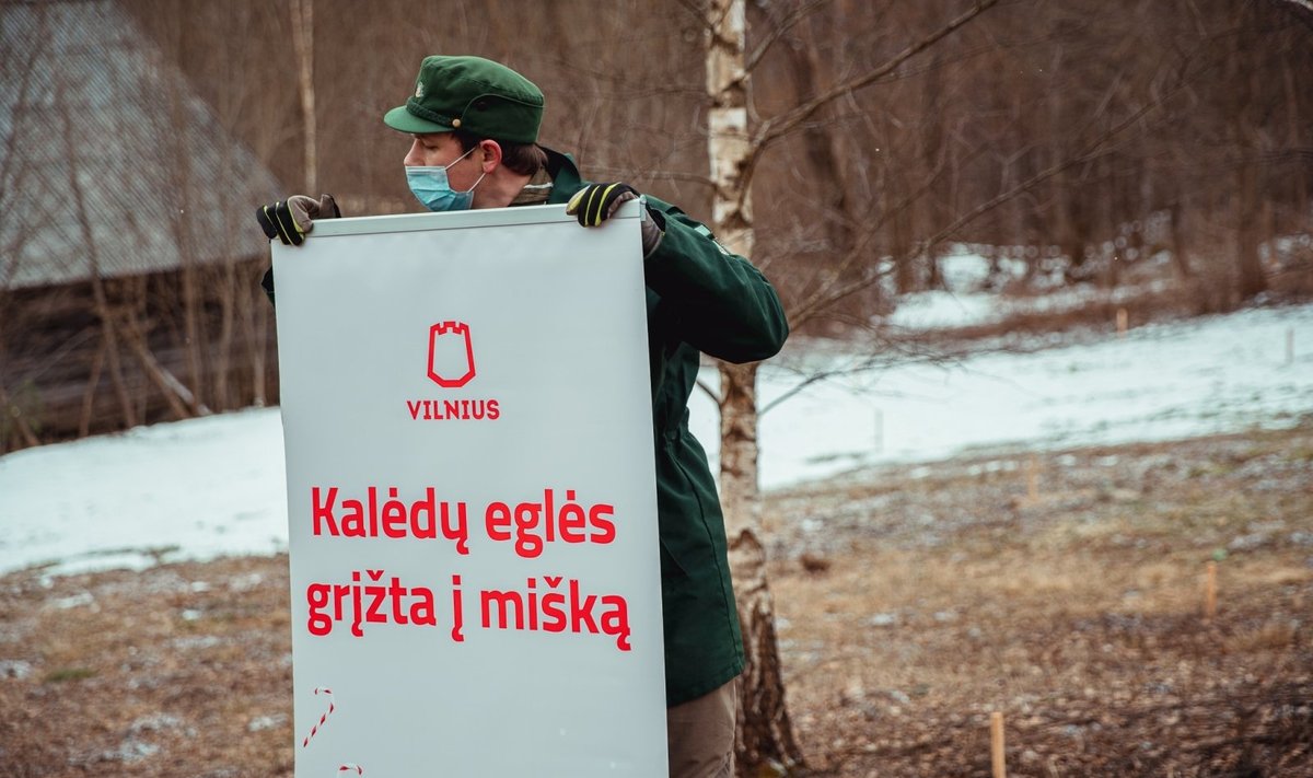 Kalėdų miškas