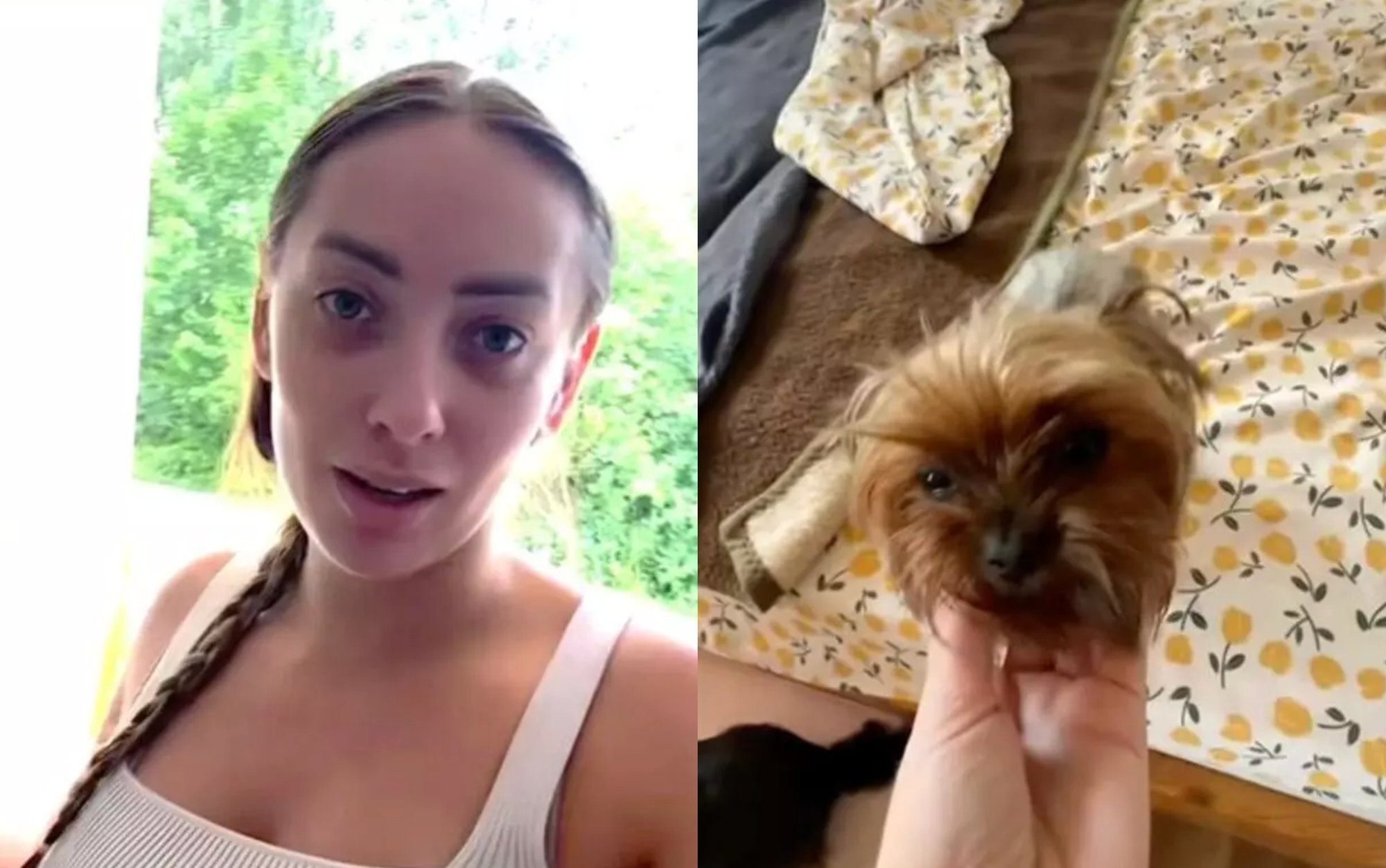 Ukrainian woman in Germany surprised by neighbor's complaint over dogs using pads indoors