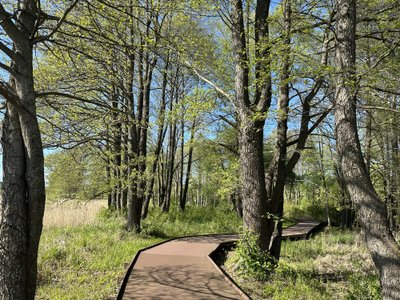 Veisiejų dvaro parkas (Miglės Gaidenkaitės nuotr.)