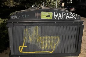 Kova su terlionėmis ant atliekų konteinerių: tai ne menas, o  vandalizmas