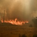 Atėnų link artėja nekontroliuojamas gaisras, Graikija prašo ES pagalbos