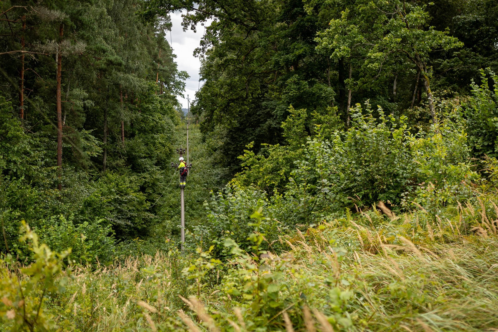 Additional compensation offered for prolonged power outages in Lithuania