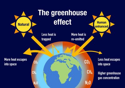 Žmogiškojo veiksnio įtaka šiltnamio efekto stiprinimui