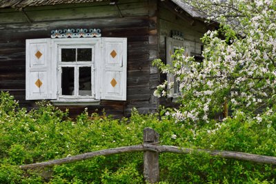 Mediniai namai Musteikoje