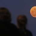 Jau netrukus prasidės ypatinga pilnatis – nakties danguje virš horizonto pasirodys braškinis Mėnulis