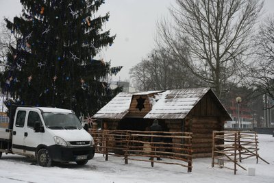 Protestas prieš avių ir asiliuko kankinimą