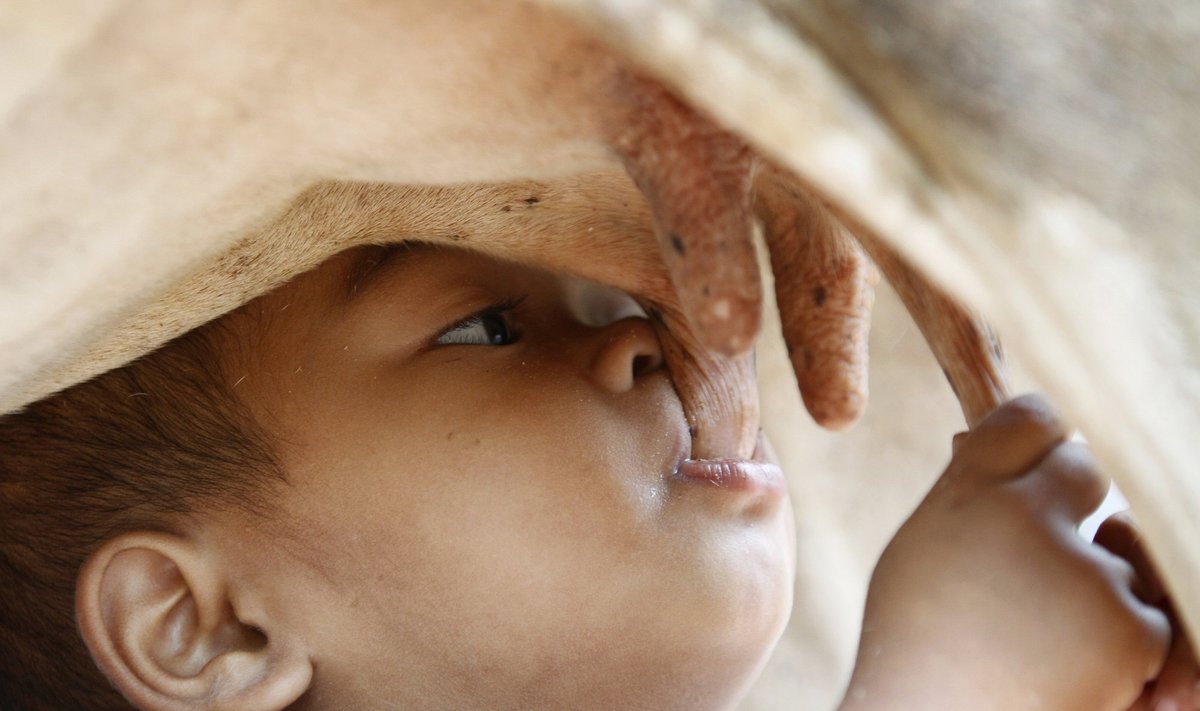 парни сосут