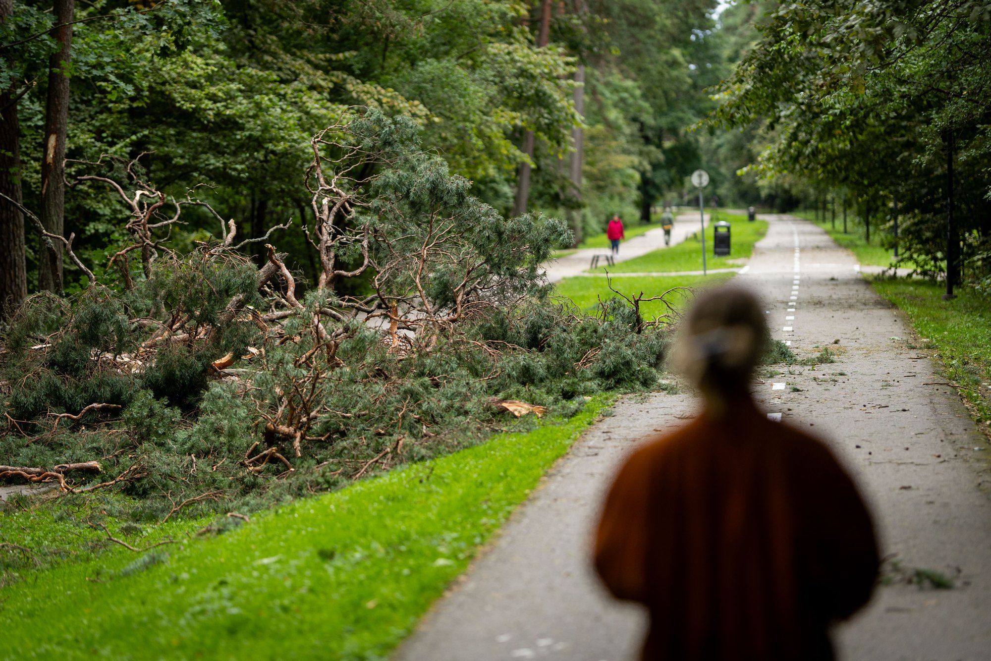 Weather to Change After Turbulent Weekend in Lithuania