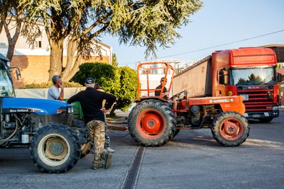 Italijos vynuogynai