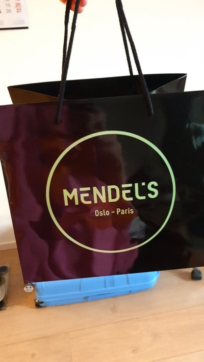 Vlada Dapkos „Mendel’s“ kavinėje