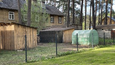 Ant medinukų atsirado įspėjimas: nusigriauti arba nugriaus savivaldybė