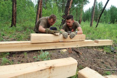 Martynas Norkūnas, Dovydas Žiogas