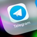 Telegram о задержании Дурова: Ему нечего скрывать