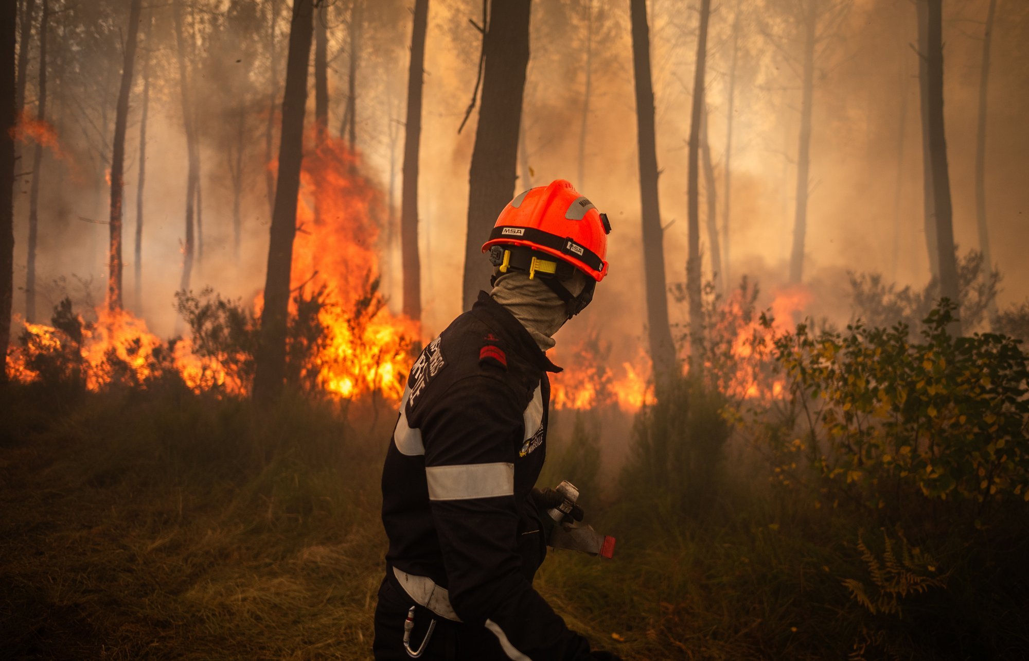 Forest Fires in Croatia Force People to Flee