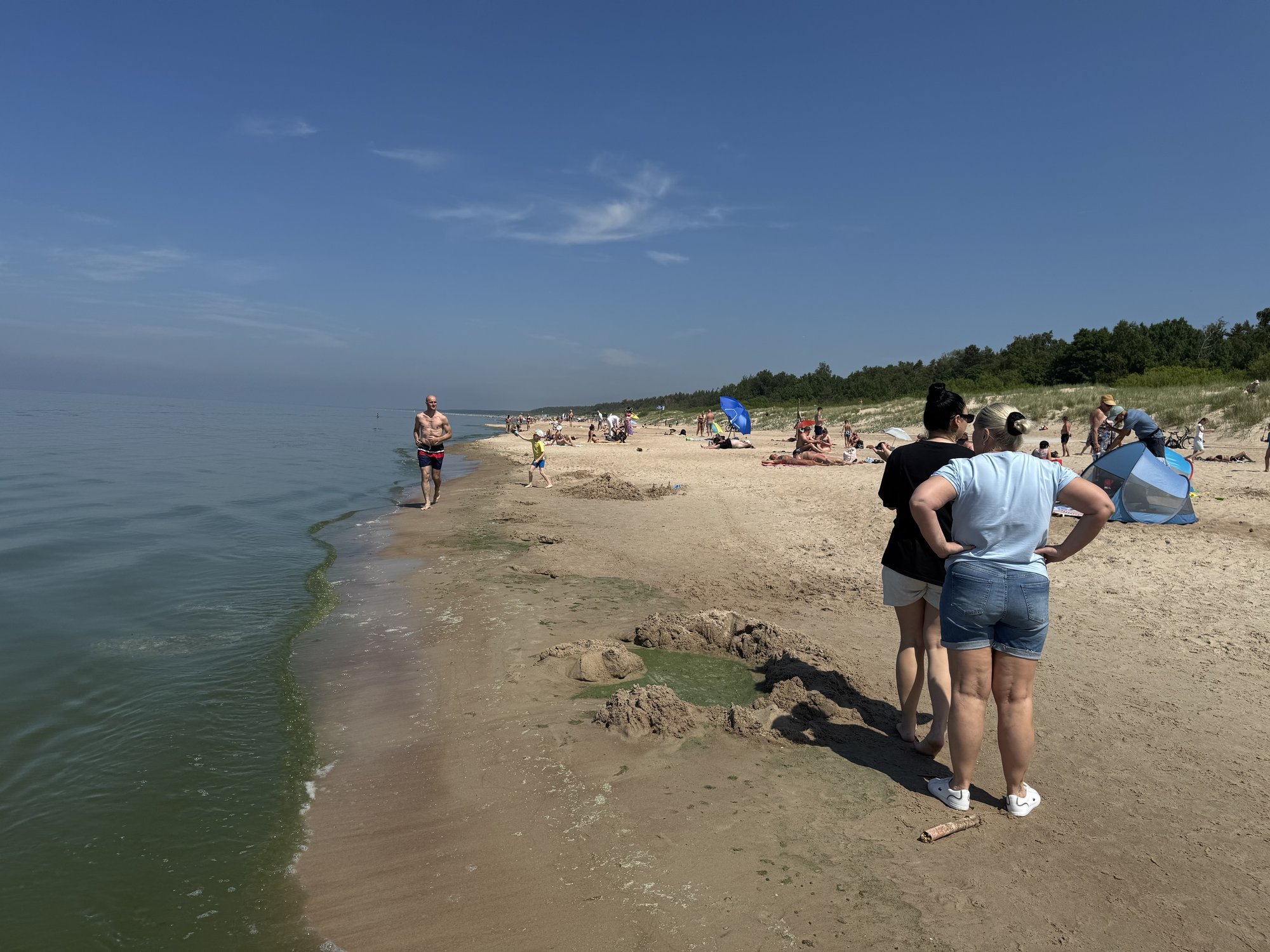 Resort sees crowds, but sea bloom brings unwelcome surprise