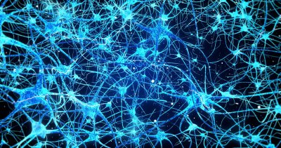 Neuronai