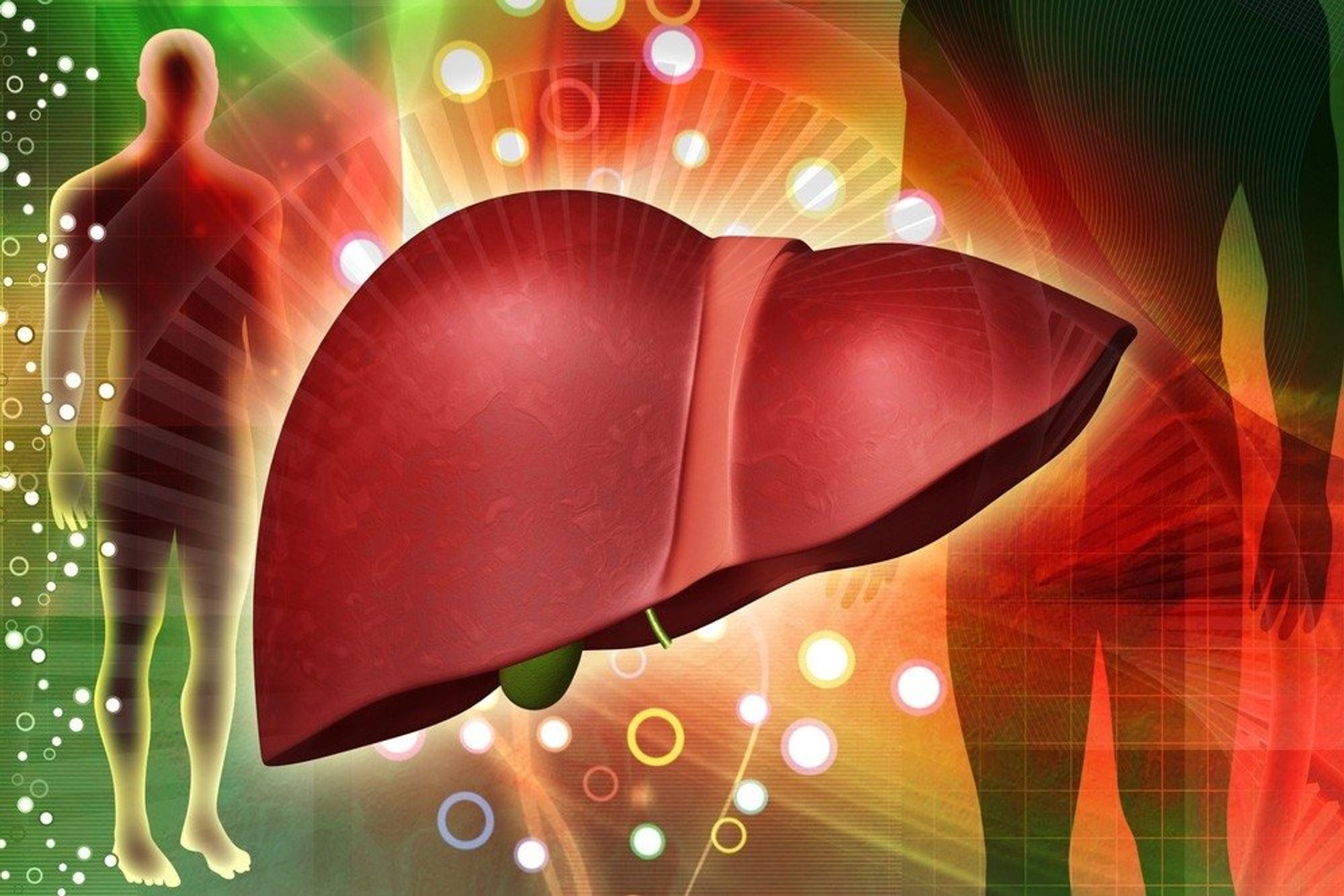 Fatty diets trigger dangerous liver changes, raising cancer risk