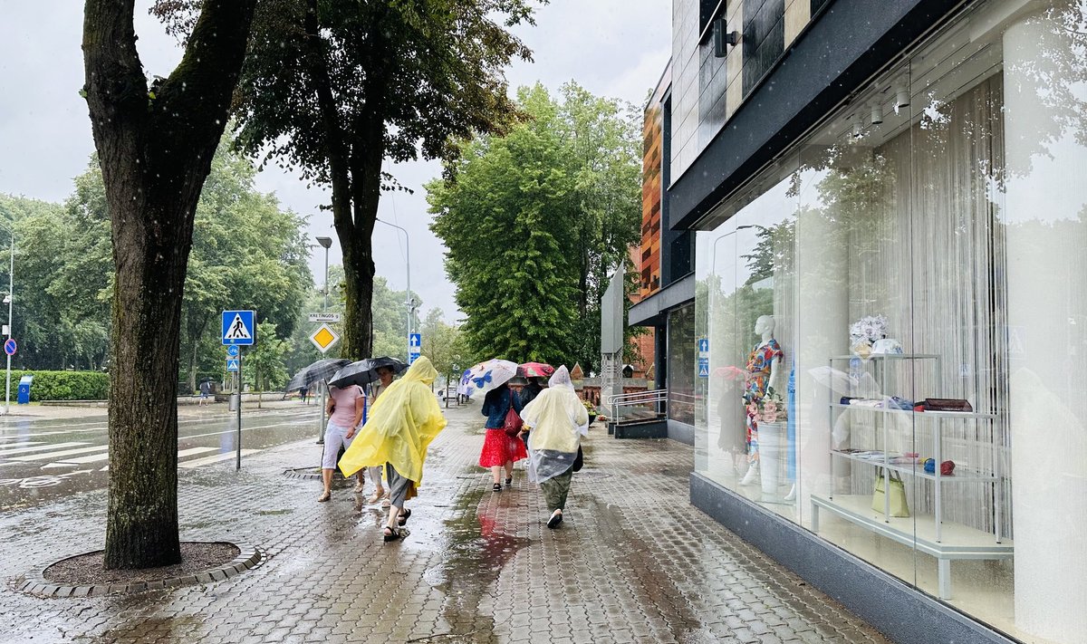 Liūtis užklupo ir Palangą