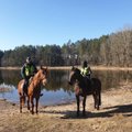 Вильнюс отказывается от конной полиции