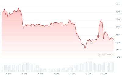 BTC kaina per savaitę