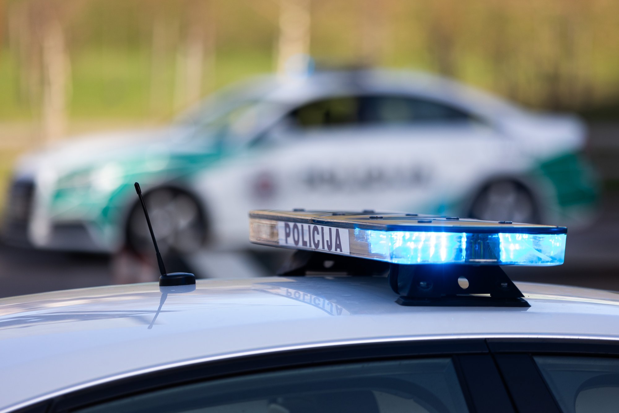 Rastas su antkakliu nugaišęs šuo - Letena.lt